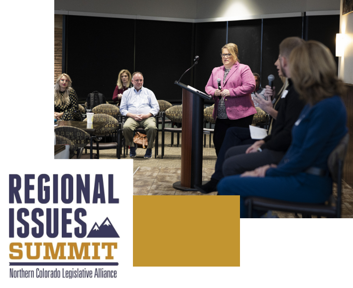 collage of image of person speaking at an event and a logo that read: regional issues summit
