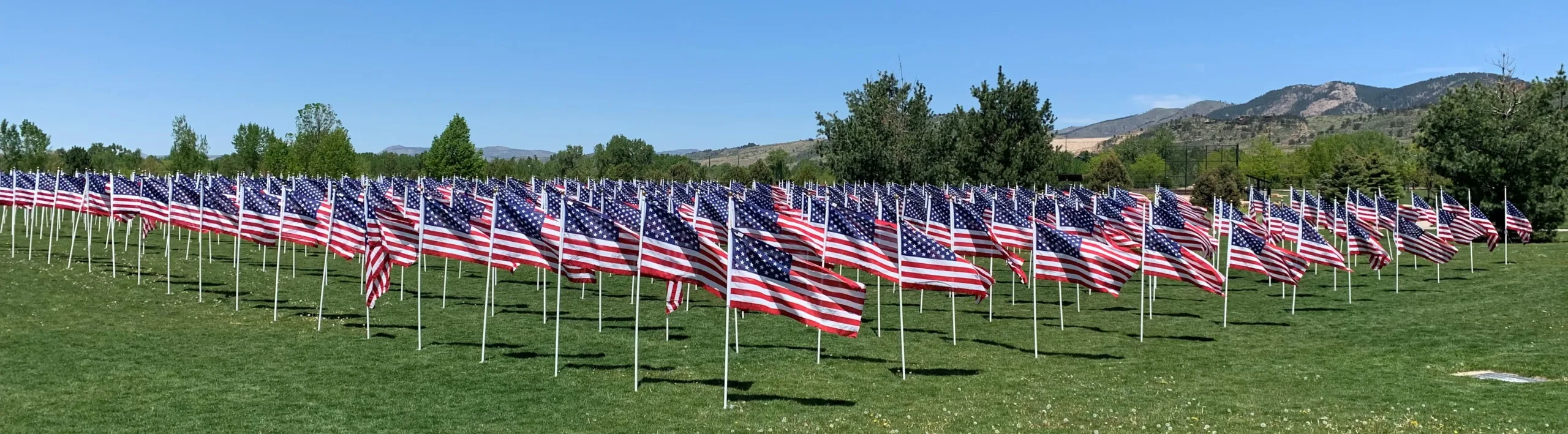 Field filled with American flags