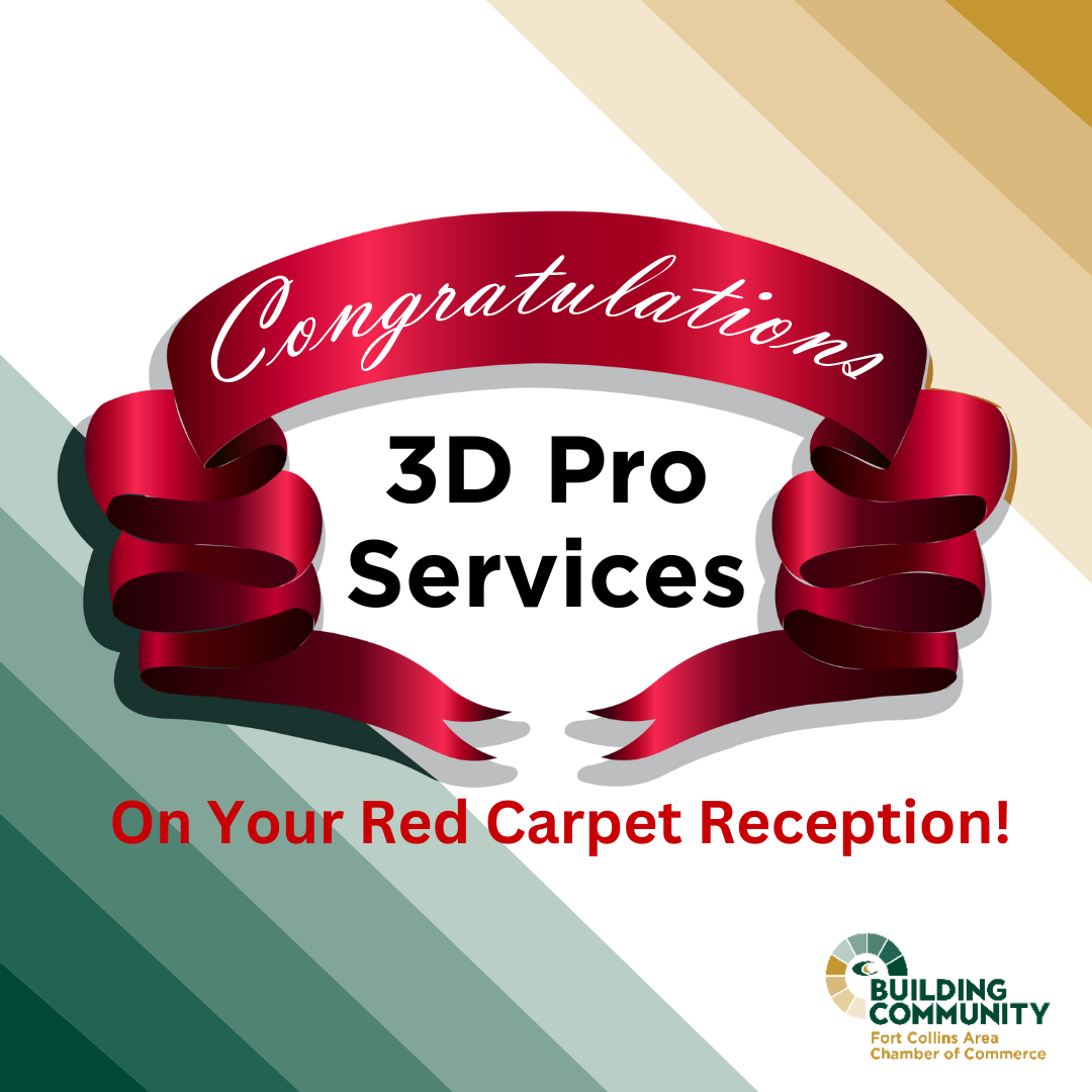 3D Pro Services Red Carpet Flyer