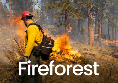 Larimer Conservation District New Film “Fireforest” Chronicles Pre-Wildfire Efforts that Helped Halt the Cameron Peak Fire