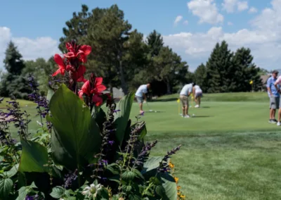 A golf course with players putting on the green in the background under a clear sky. In the foreground, vibrant red and purple flowers and lush green foliage are in focus. Trees and greenery surround the area.