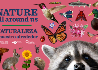 Last Week to See “Nature All Around Us” at FCMoD!
