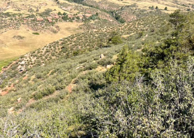 Fonay family partners with Larimer County to conserve 800-acre ranch adjacent to Red Mountain Open Space