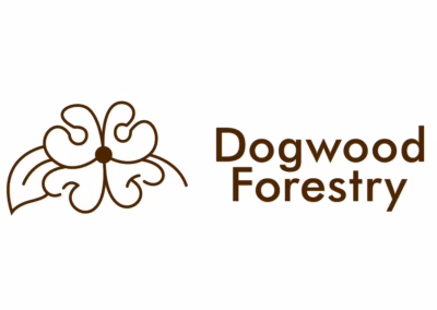 Dogwood Forestry Winter Watering for Trees