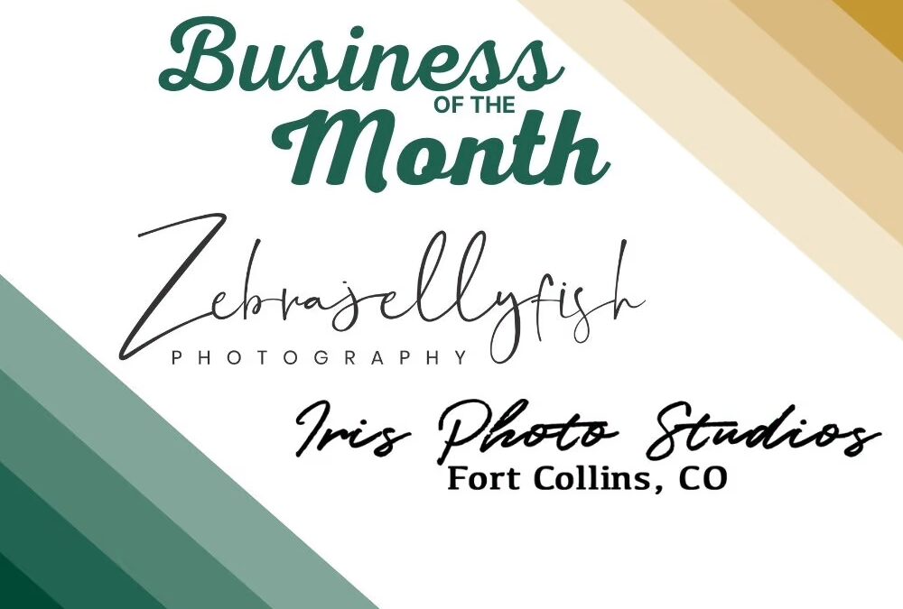 February Business of the Month with Zebrajellyfish Photography and Iris Photo Studios