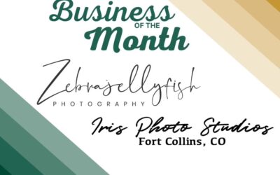February Business of the Month with Zebrajellyfish Photography and Iris Photo Studios
